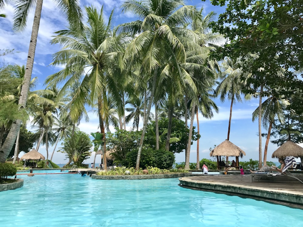 people in outdoor pool with coconut palm trees