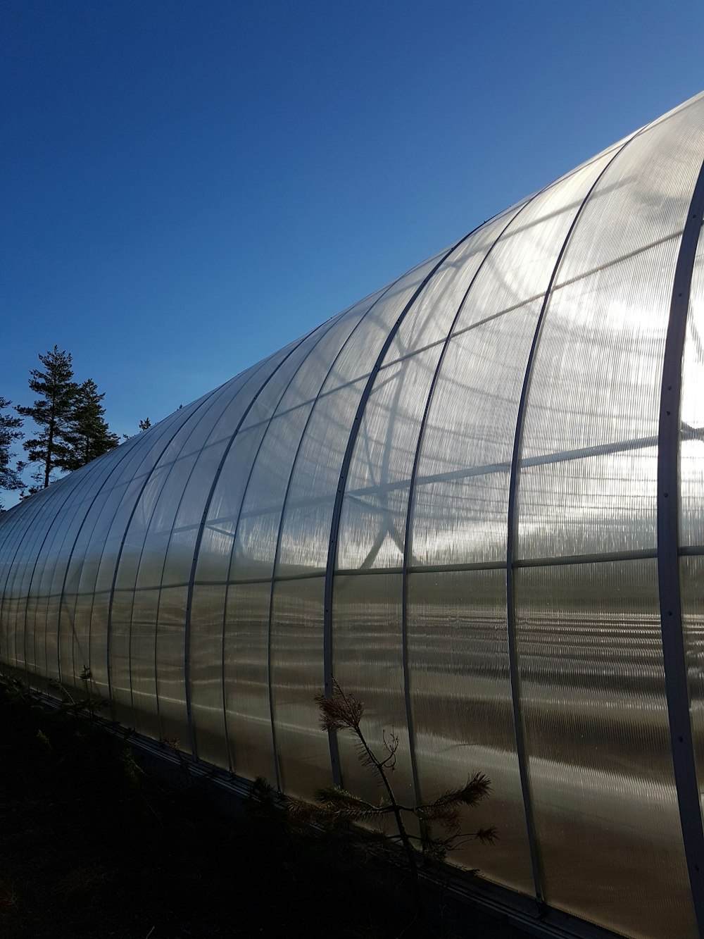 greenhouse under clear blue sky