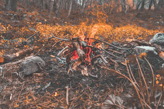 A serene forest clearing with a small campfire and bushcraft tools arranged neatly.
