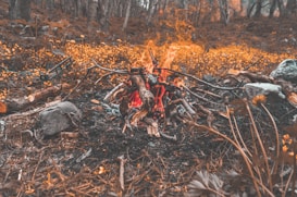 A small campfire burns amidst a forest clearing, surrounded by logs, branches, and stones. The ground is covered in dry leaves and yellow wildflowers, creating a rustic and natural atmosphere. The forest in the background is dense with trees.
