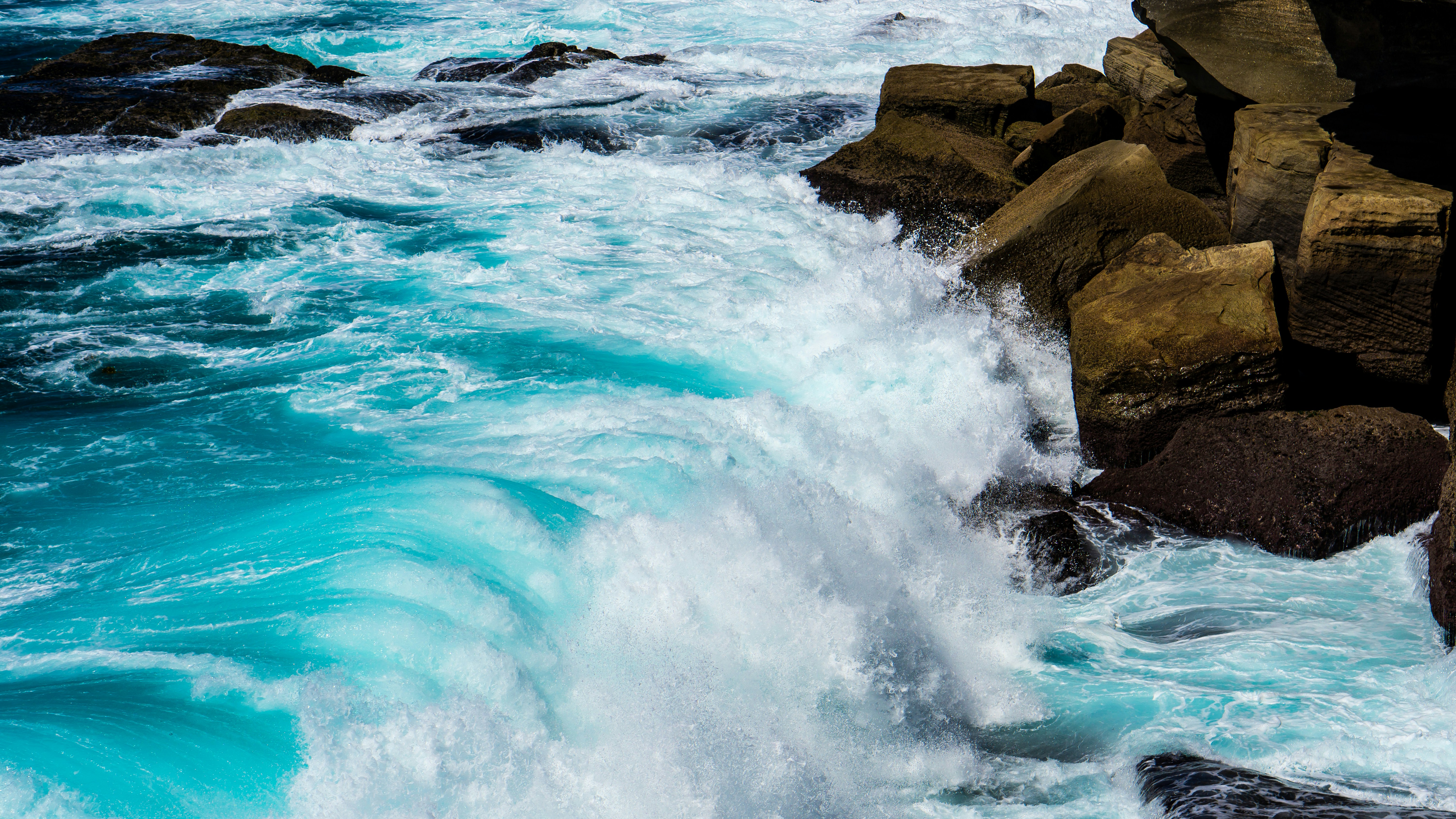 Photo by elmercanasjr