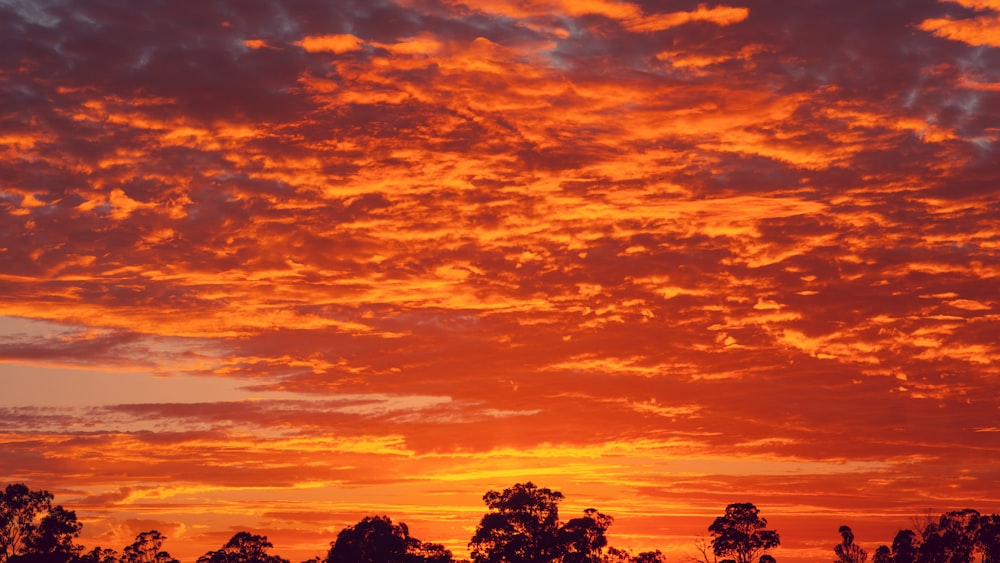 orange sky at sunset