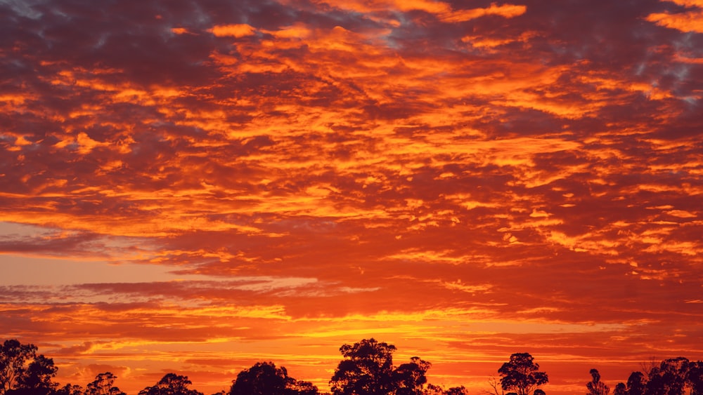 Ciel orangé au coucher du soleil