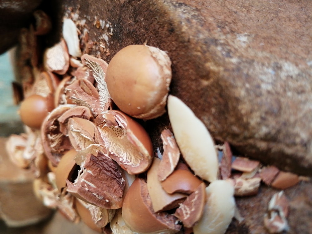 selective focus photo of nuts