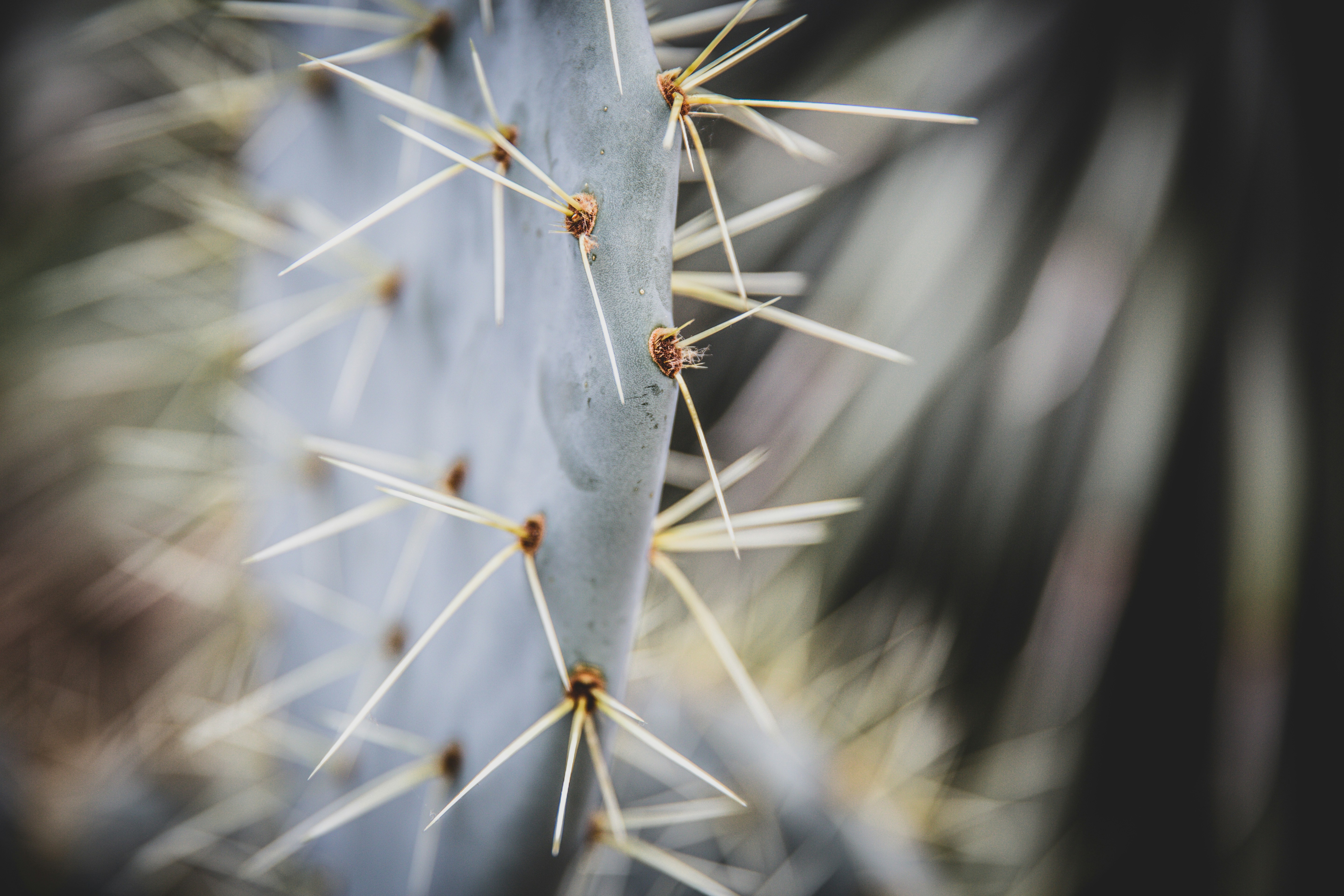 Photo by blackprojection