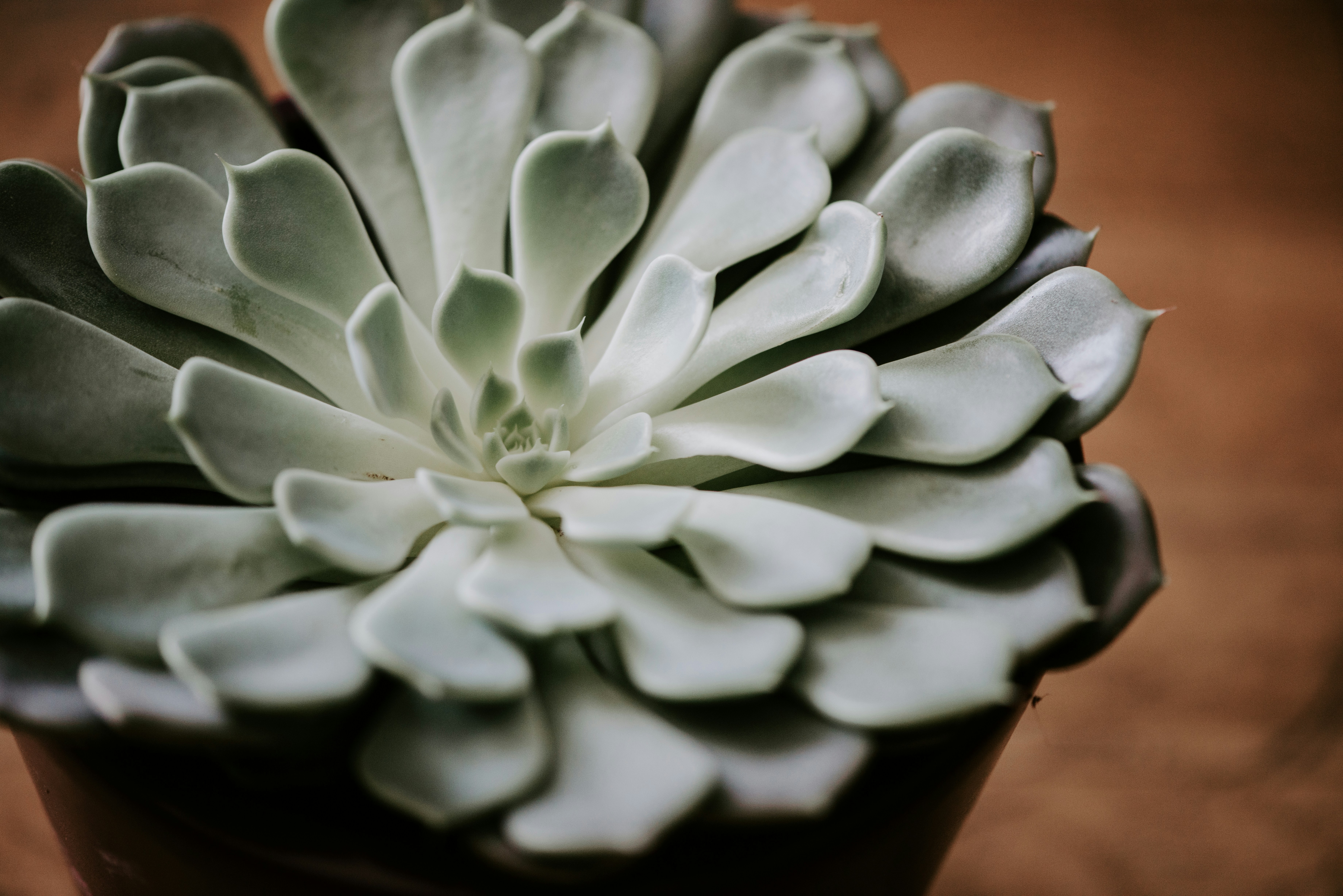 Photo by laurapatrickphotography