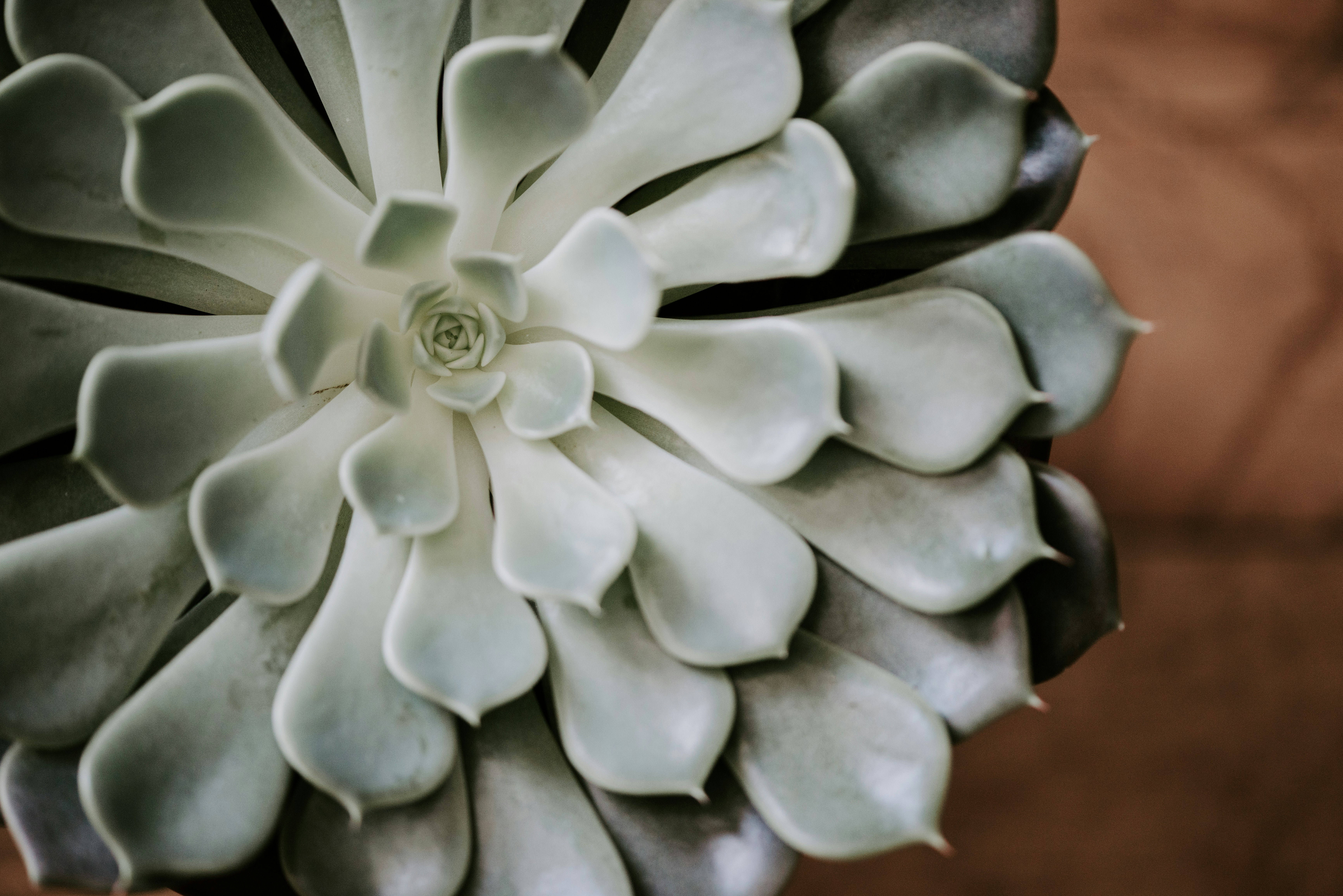 Photo by laurapatrickphotography
