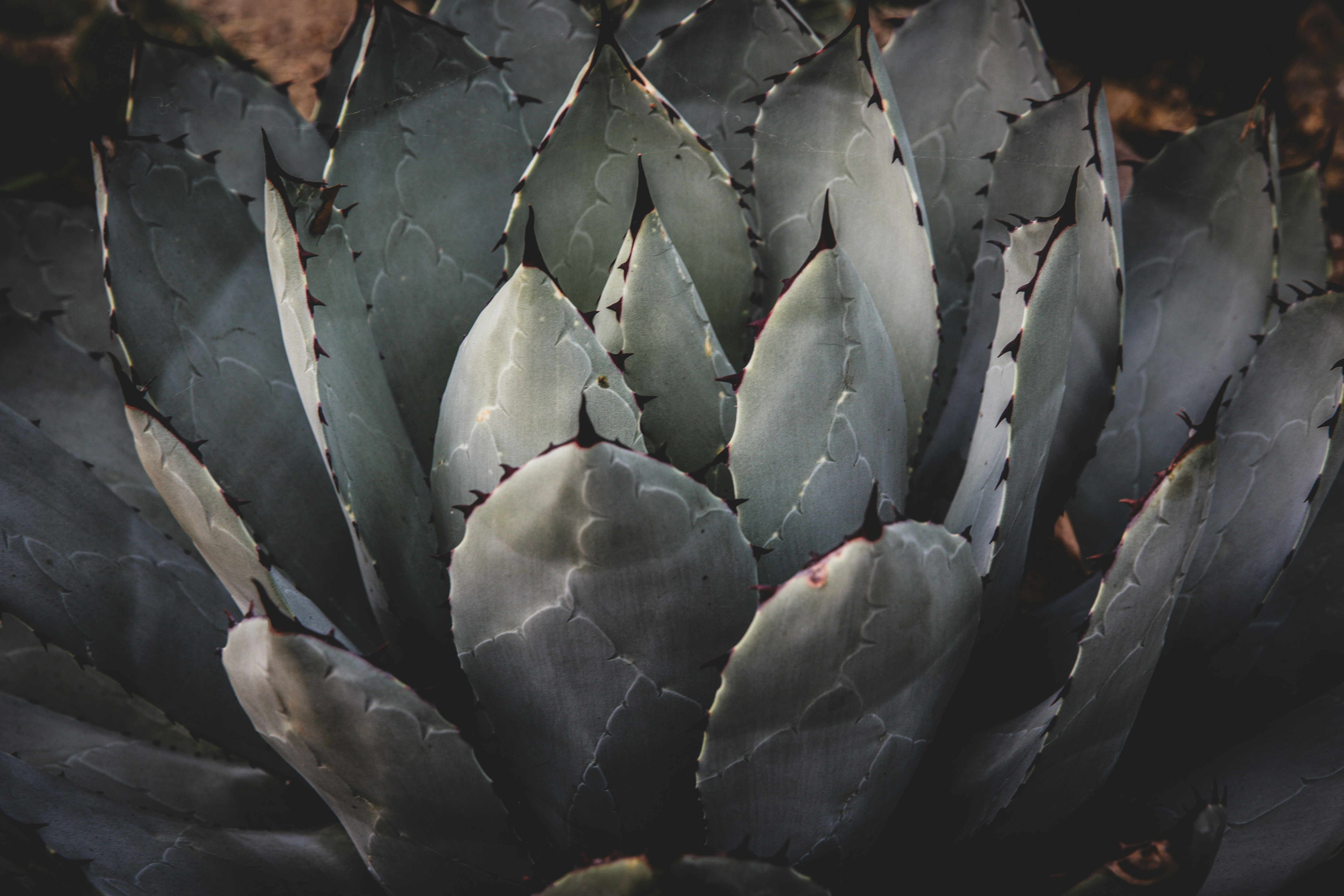 Photo by blackprojection