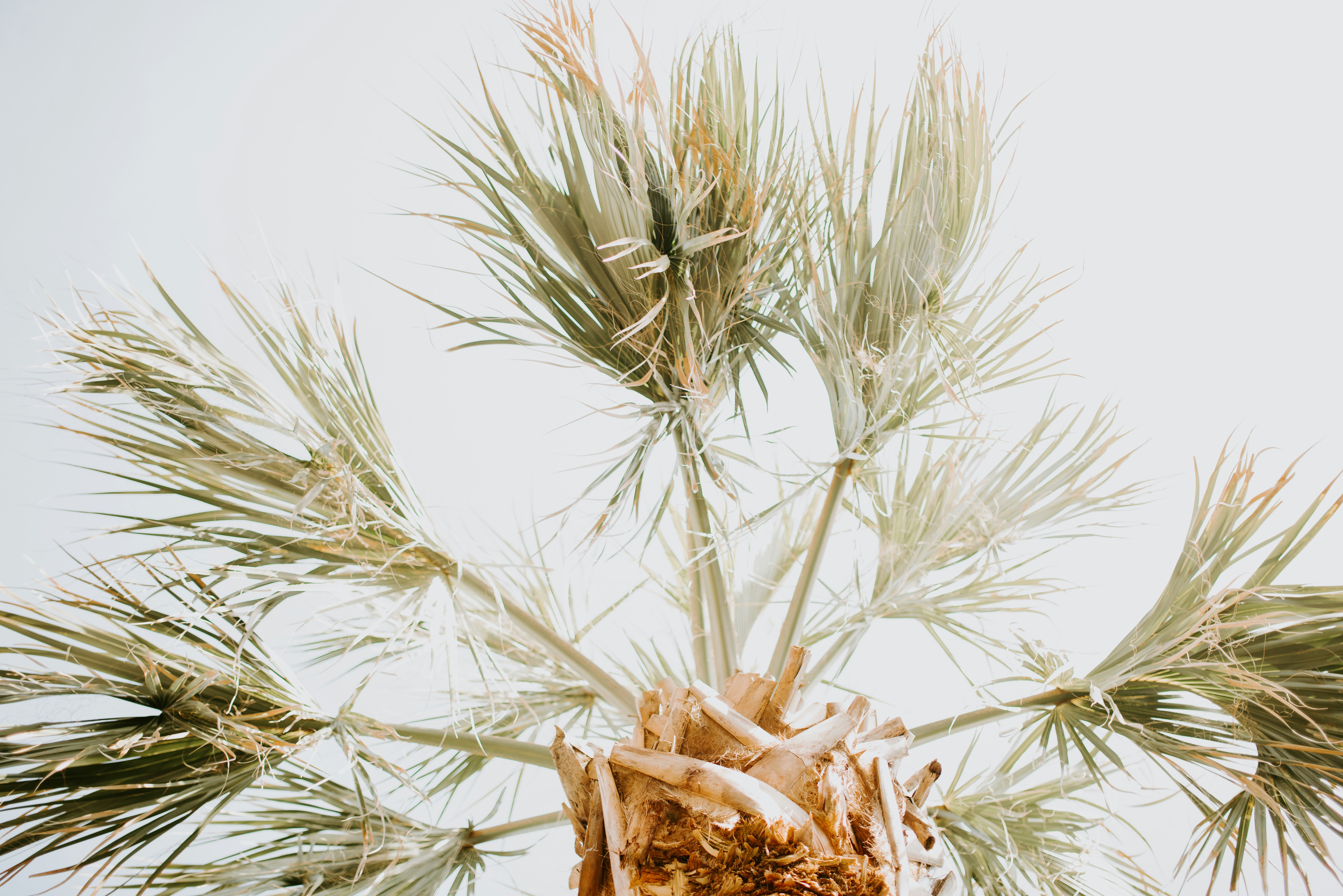 Photo by laurapatrickphotography