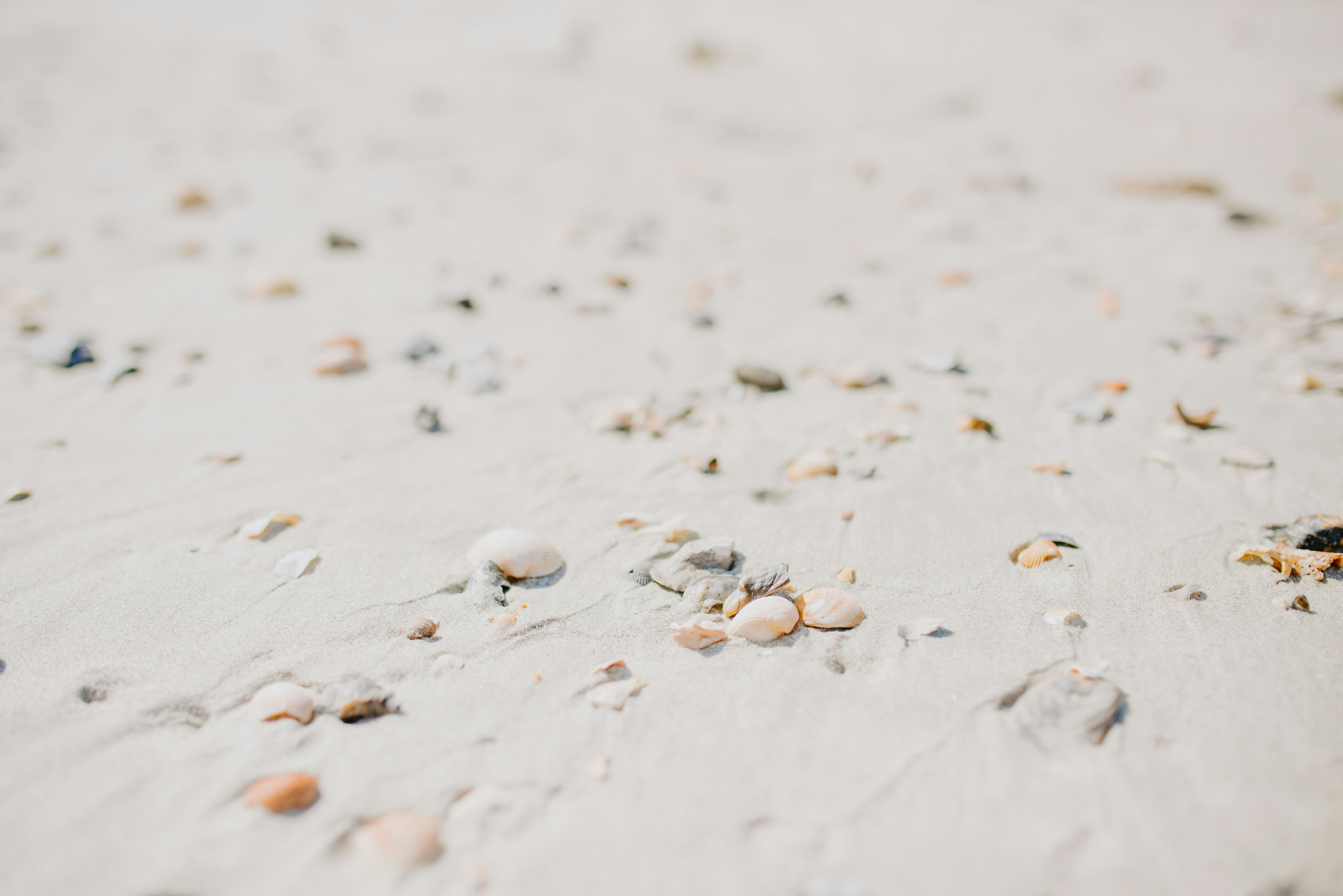 Photo by laurapatrickphotography