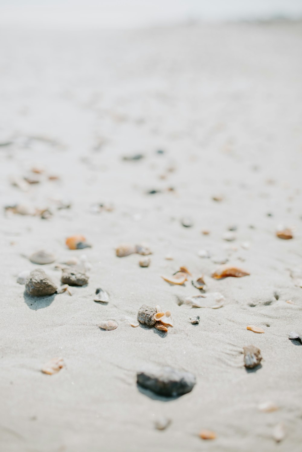 shallow focus photography of gray pebbles and brown sand