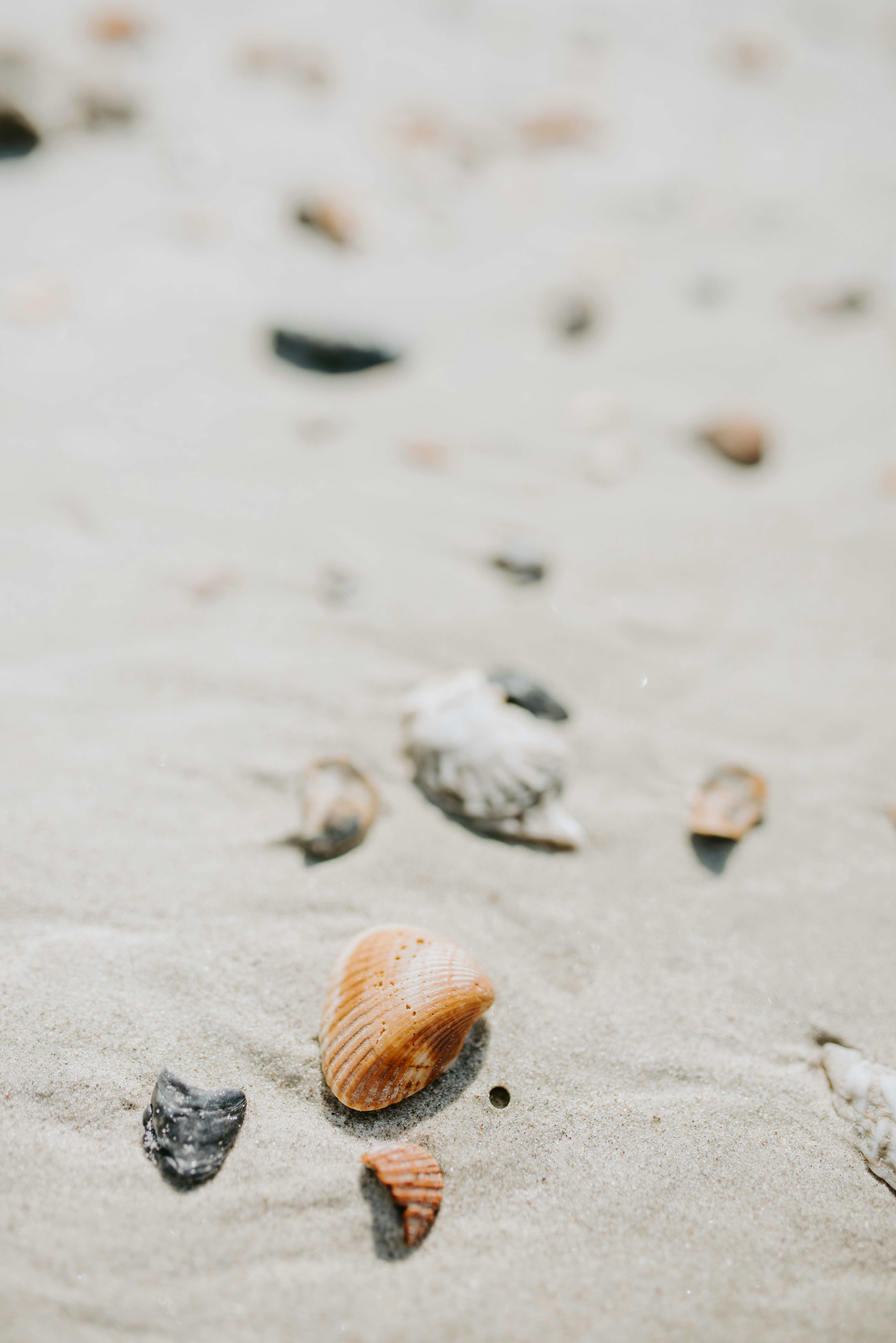 Photo by laurapatrickphotography