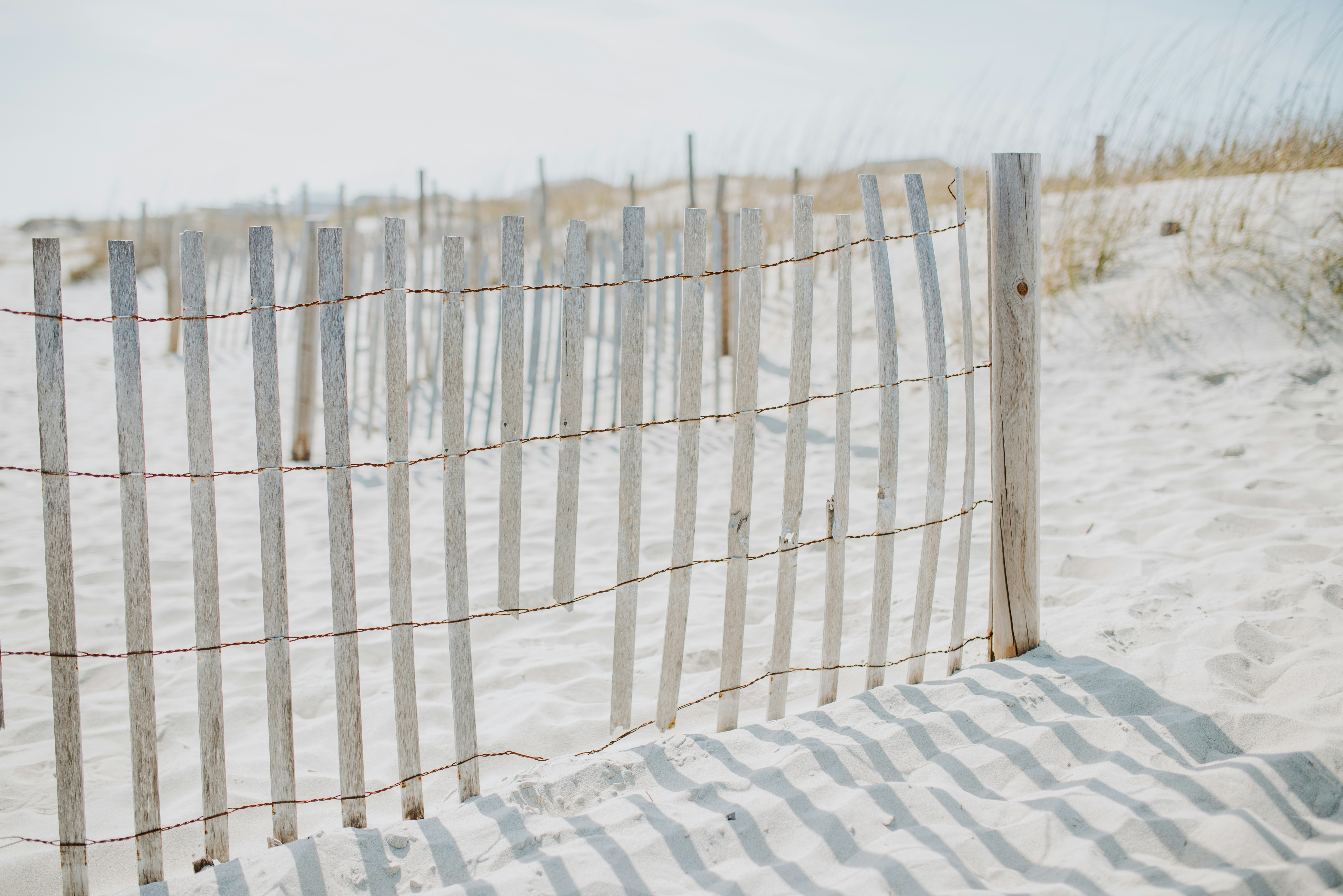 Photo by laurapatrickphotography