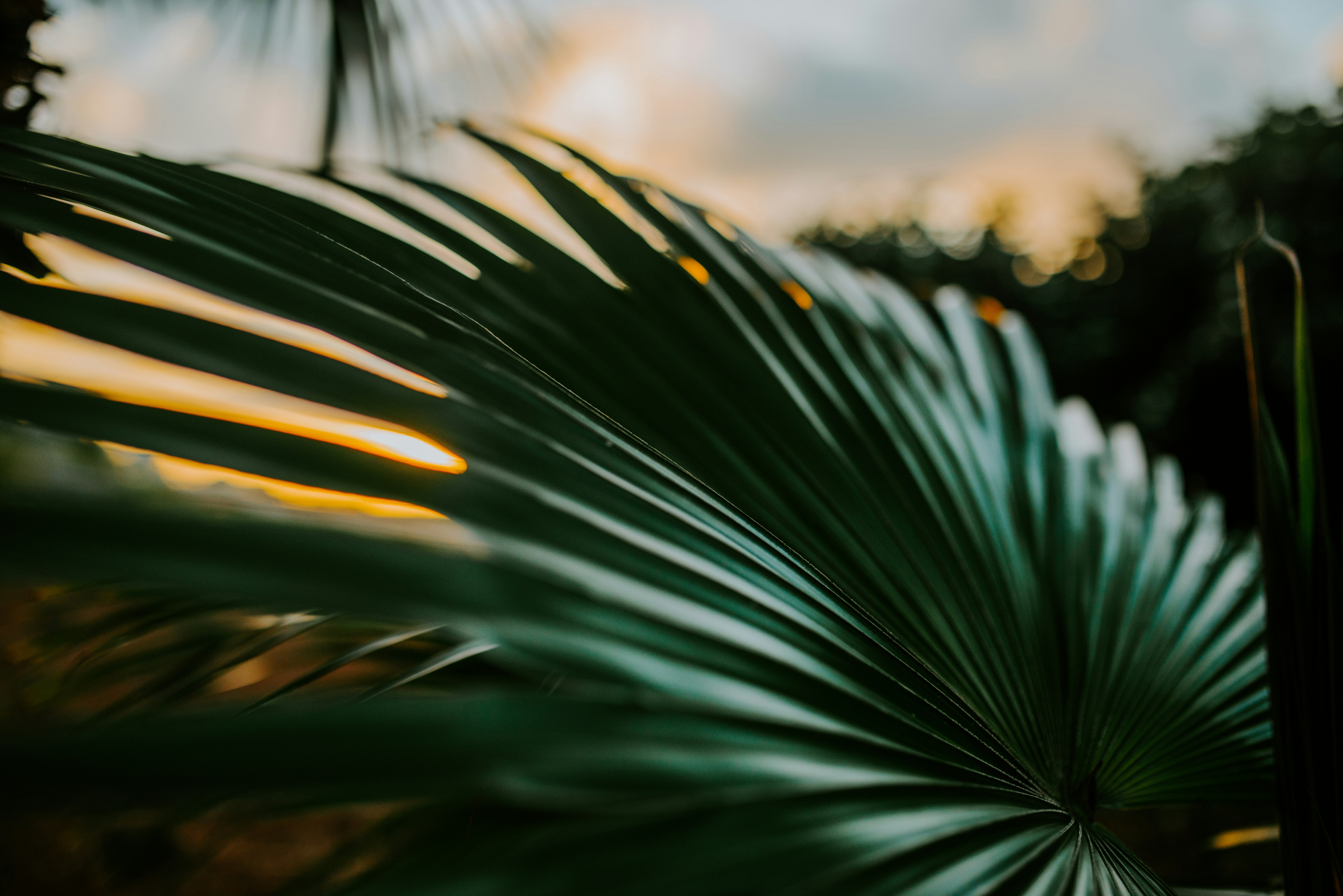 Photo by laurapatrickphotography