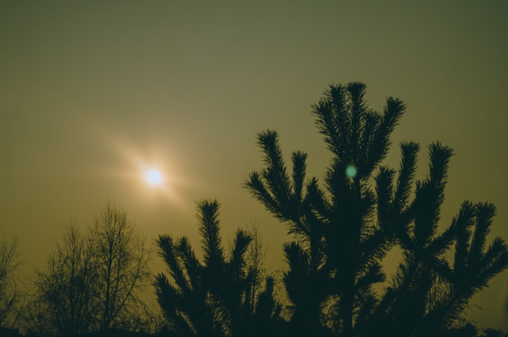 green-leafed tree