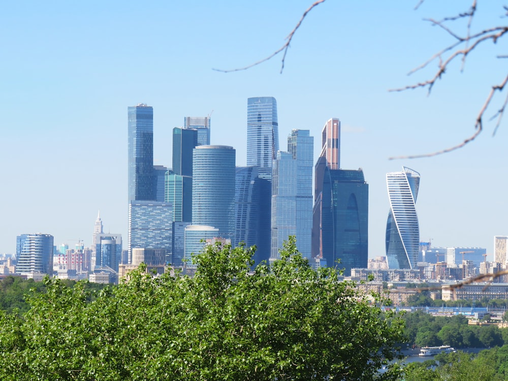 landscape photo of a city skyline