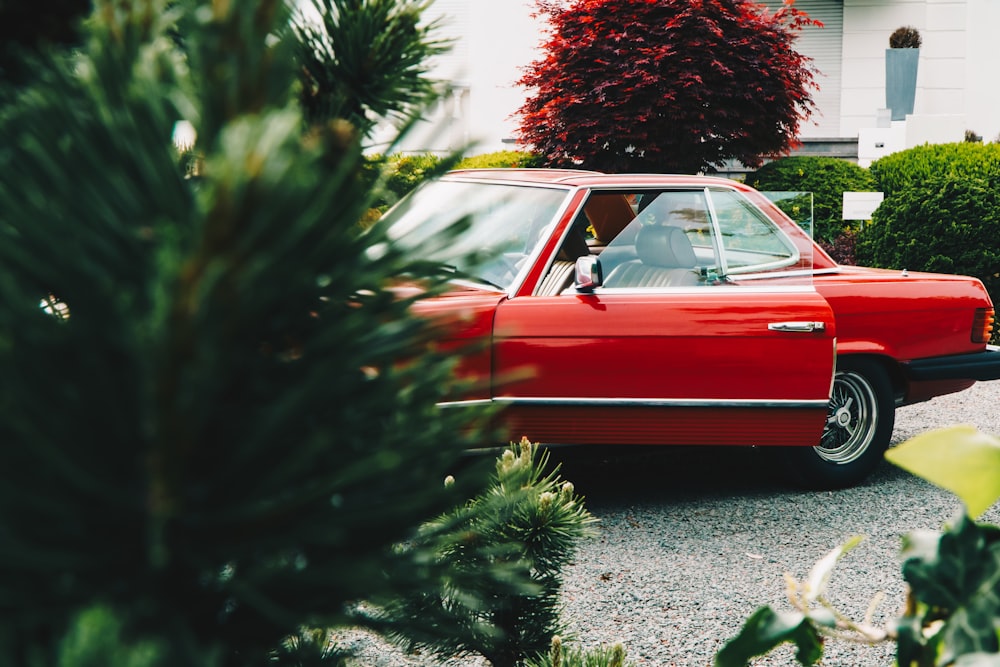 red Mercedes Benz coupe with open door