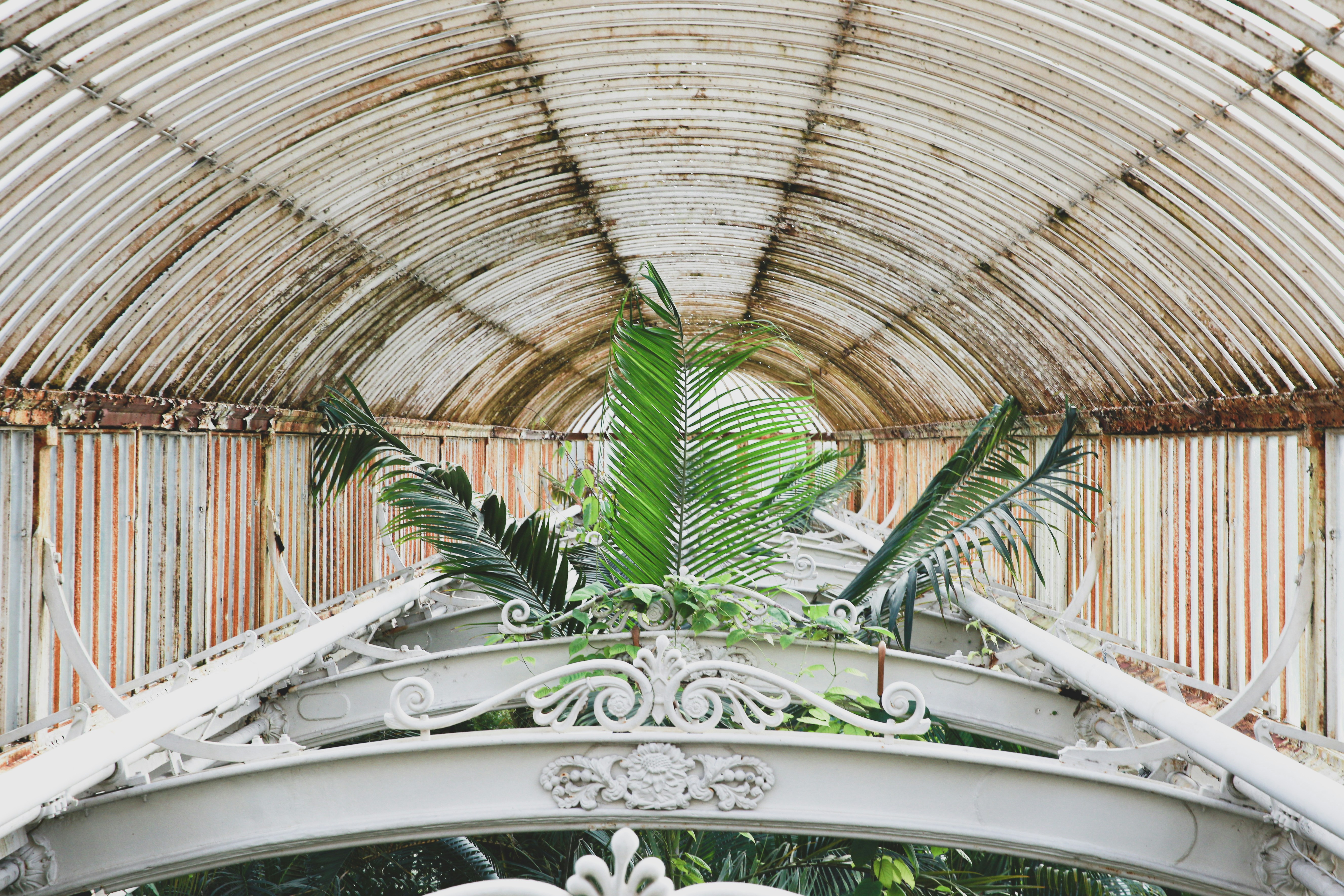 Photo by blackprojection