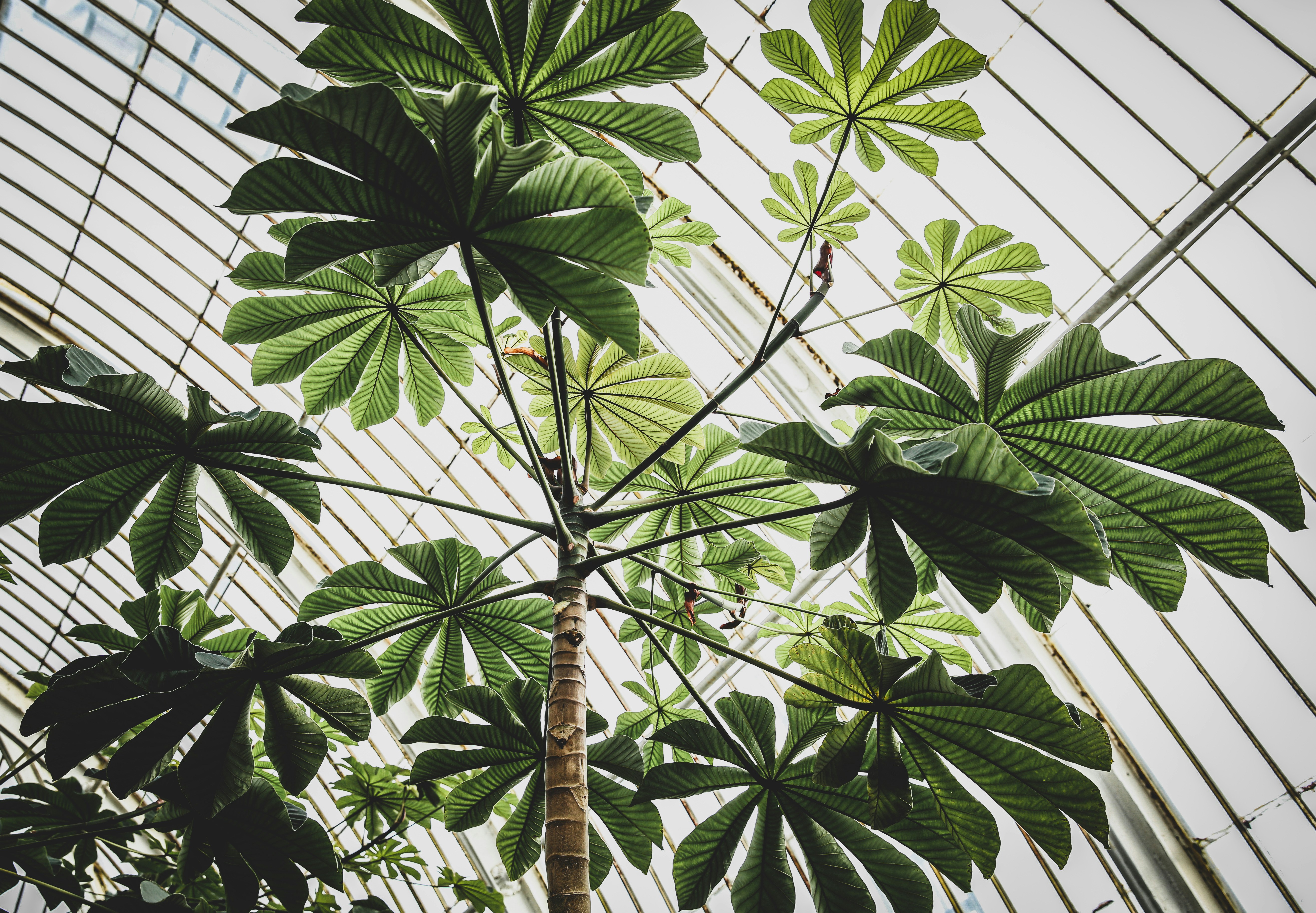 Photo by blackprojection