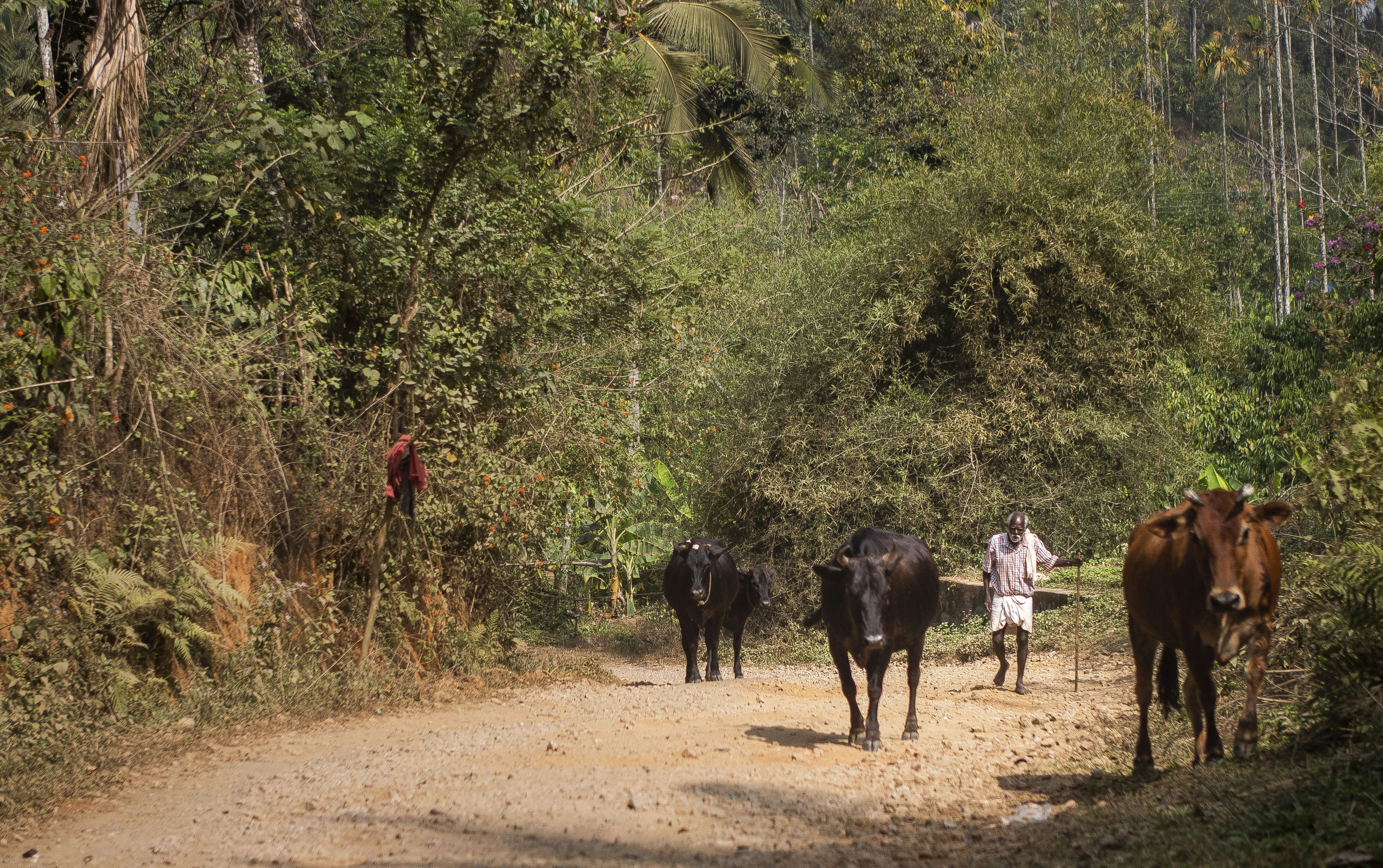 Photo by oliverjoshua