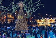 people near Christmas tree at night