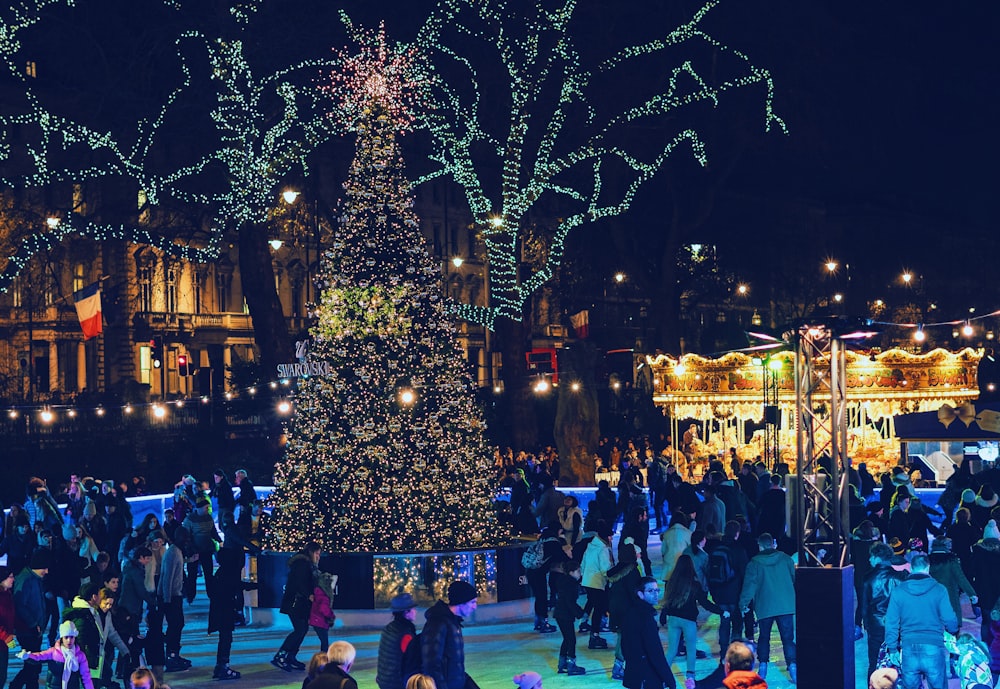 people near Christmas tree at night