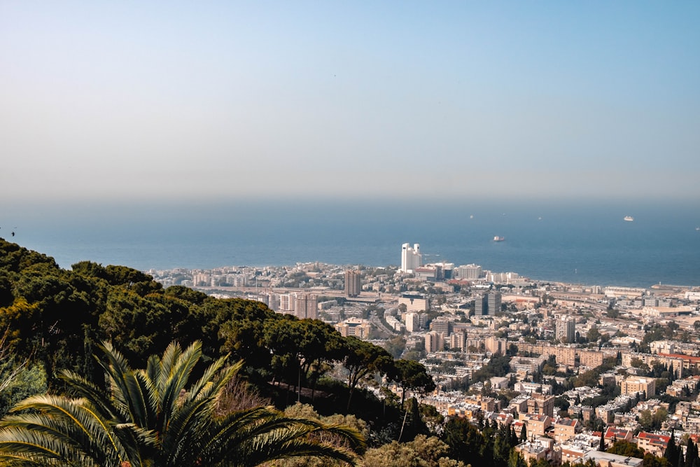 high-angle photography of city during daytime