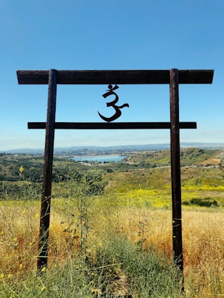 A wooden structure resembling a torii gate, with a symbol resembling 'Om' hanging in the center, stands amidst a lush field of grasses and wildflowers. The background features a scenic view of a valley with a distant body of water and hills under a clear blue sky.