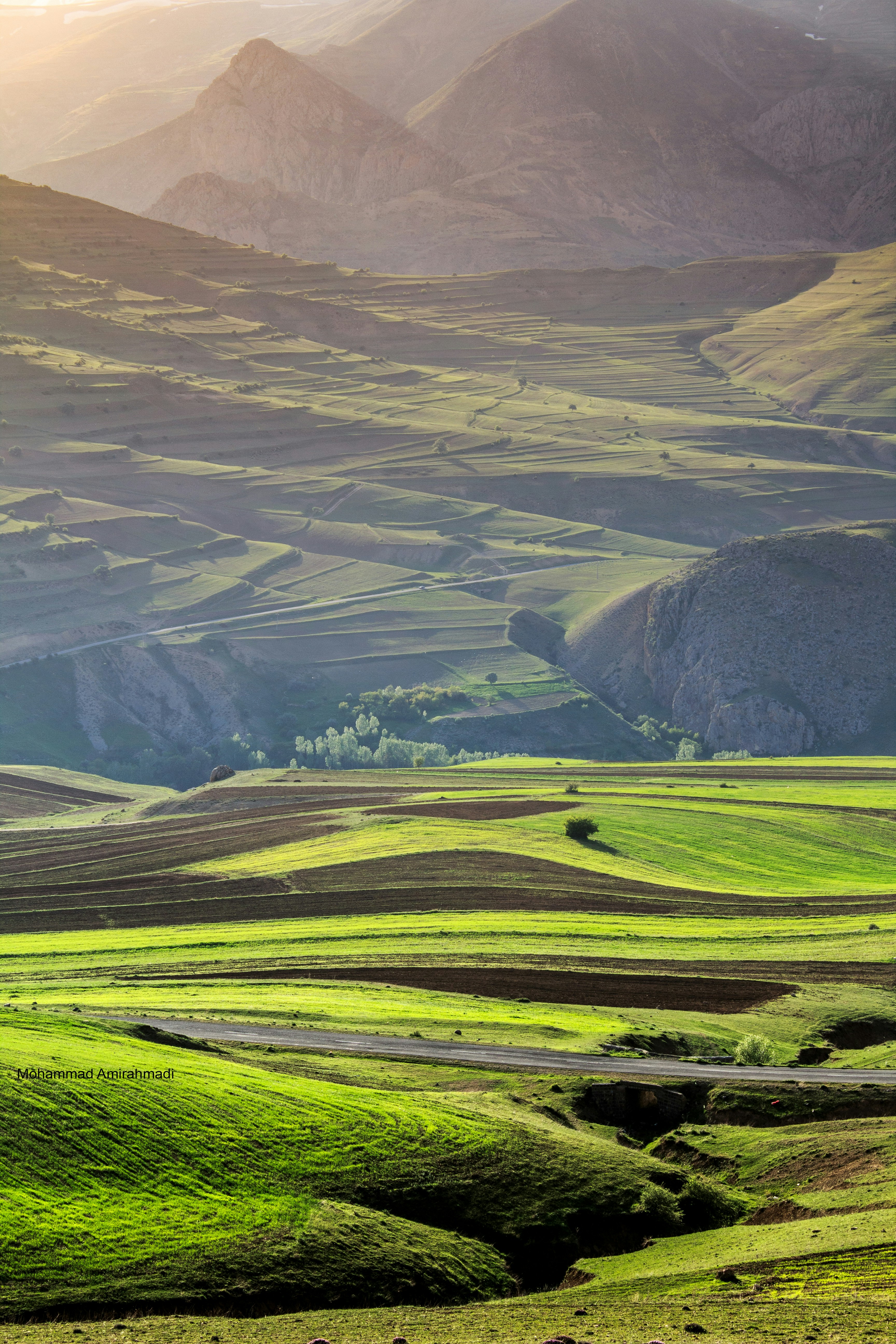 Photo by m_amirahmadi