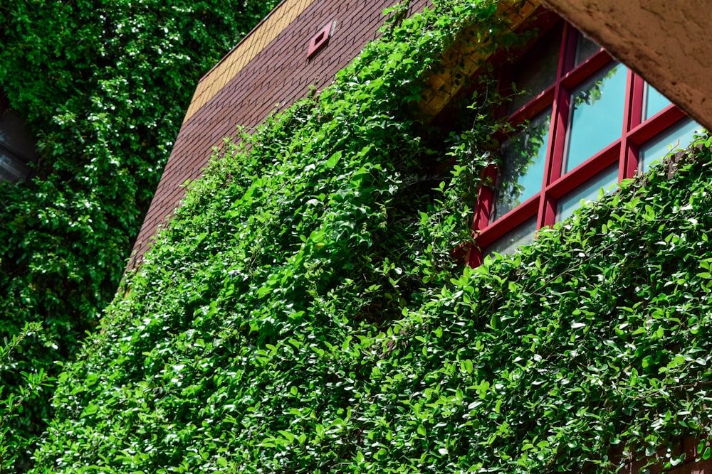 photo of red-and-gray window panel