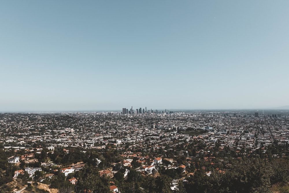 buildings and trees during daytime