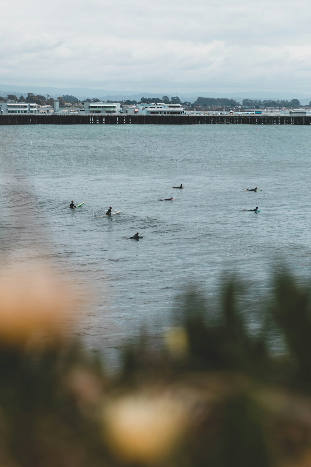 people surfing during daytime