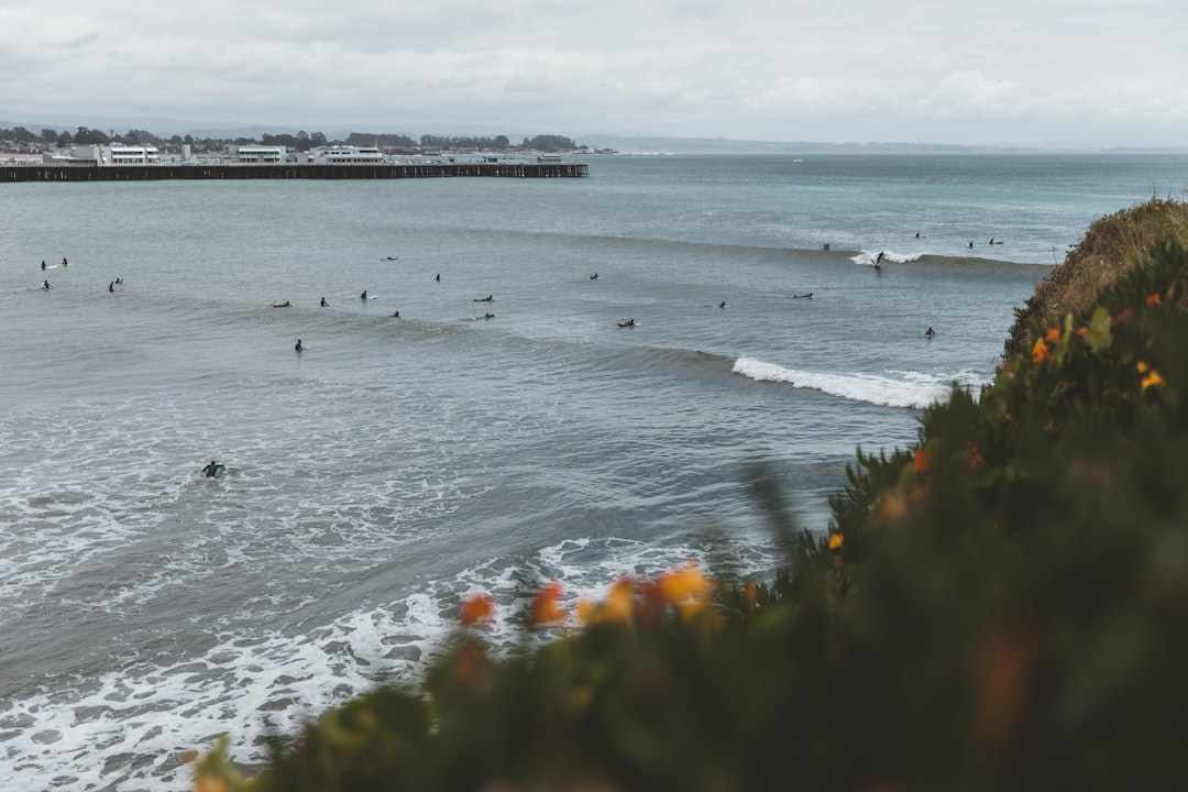 ocean view during daytime