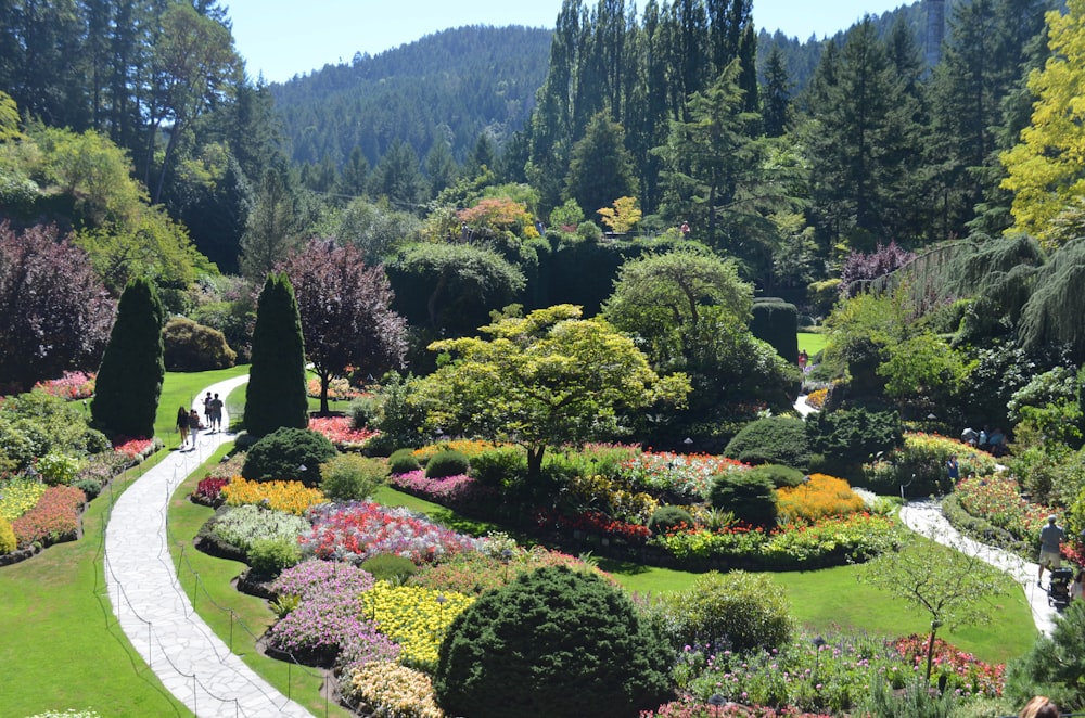 Un exuberante parque verde lleno de muchos árboles y flores