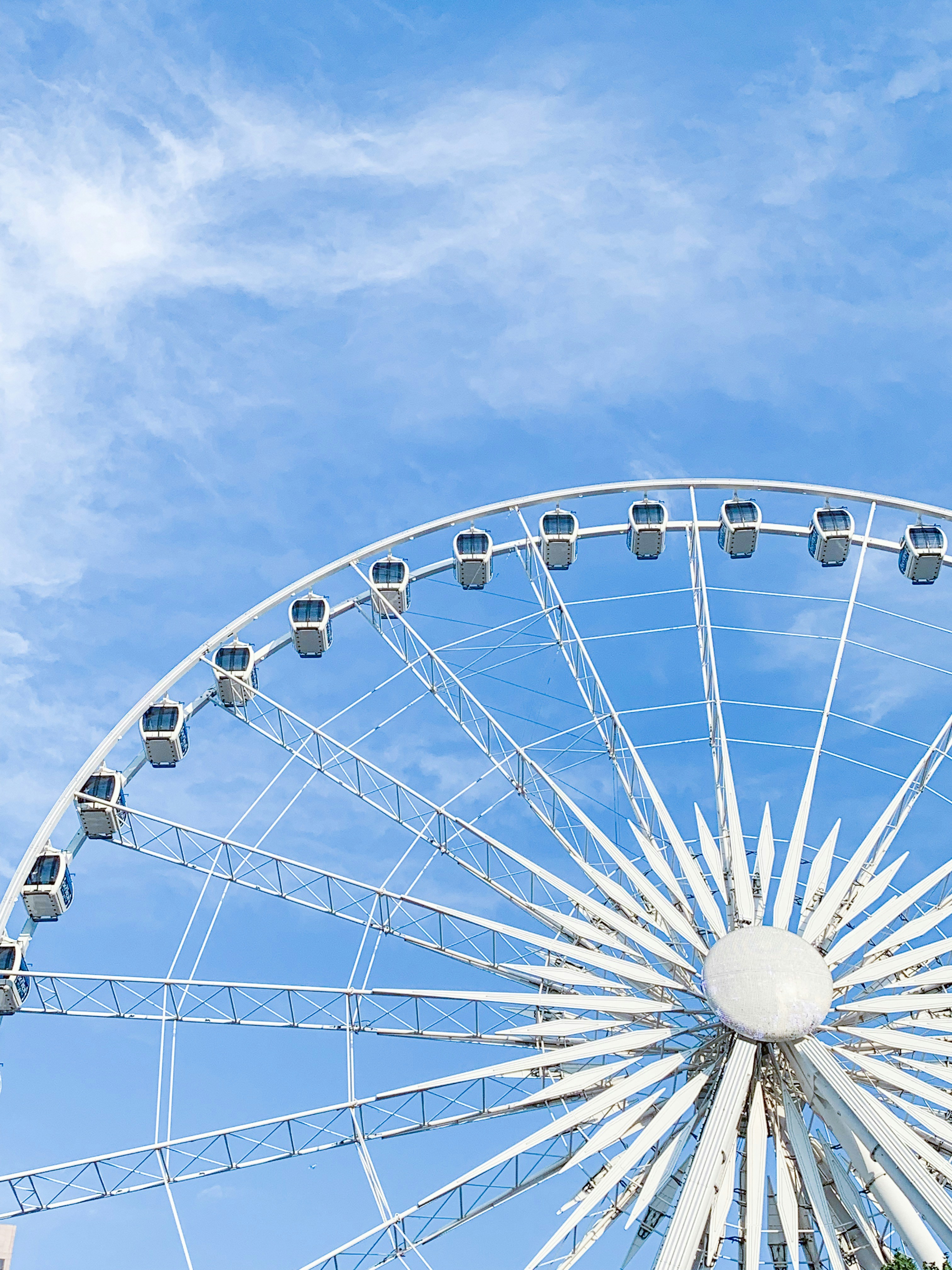 Photo by siamialtrice_