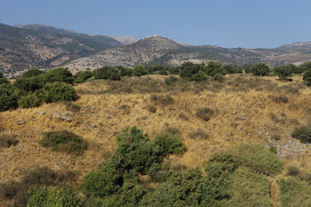 mountain under blue sky during daytime