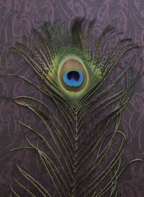 green peacock tail decor