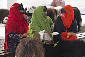 three people wearing red, orange, and green niqab headdress