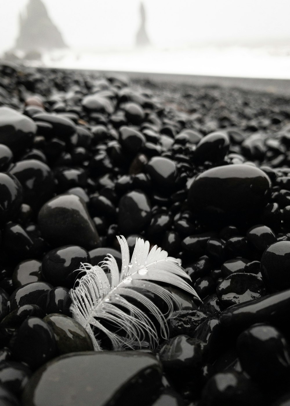 a white feather is laying on some black rocks