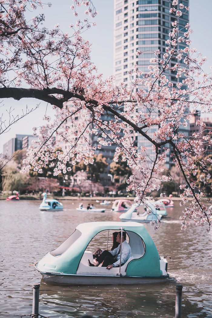 Shinobazu Pond in Ueno Park, Tokyo
