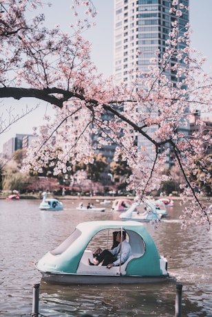 persons on boat