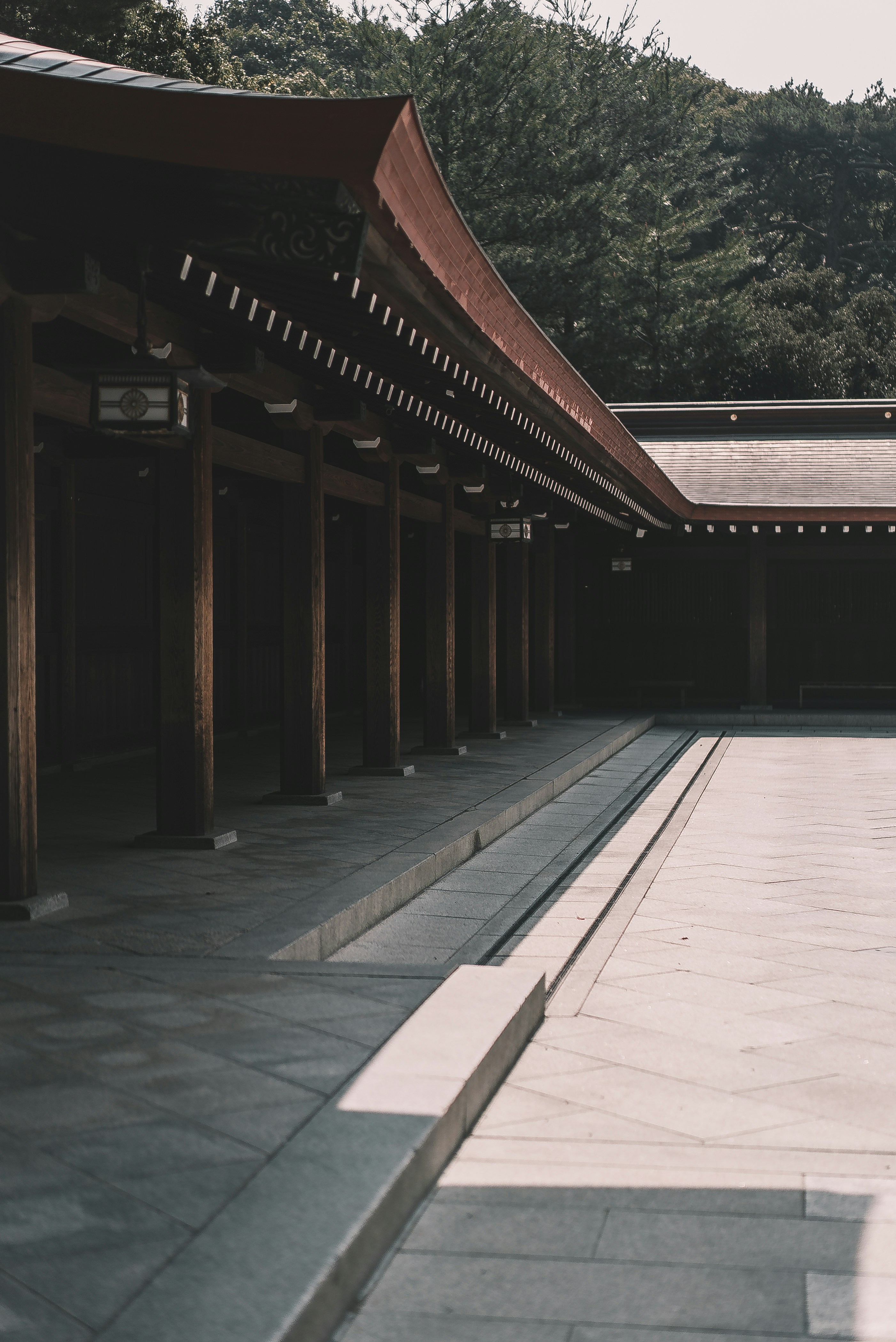 Photo by reddfrancisco