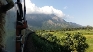 A scenic view of a train traveling through the countryside.