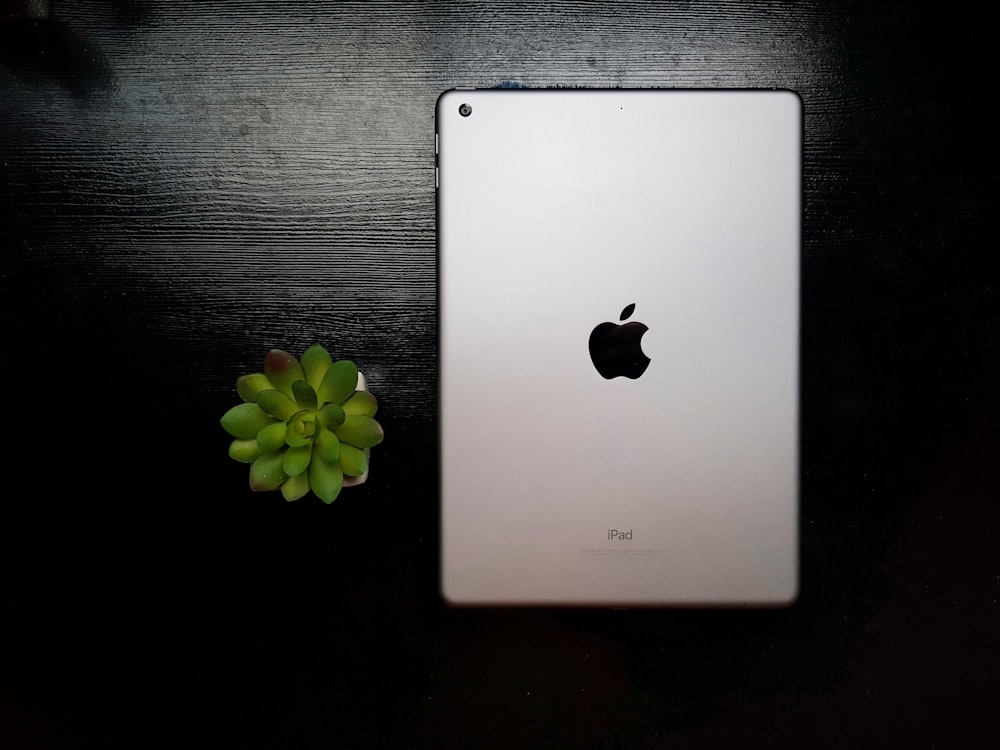 silver iPad beside succulent