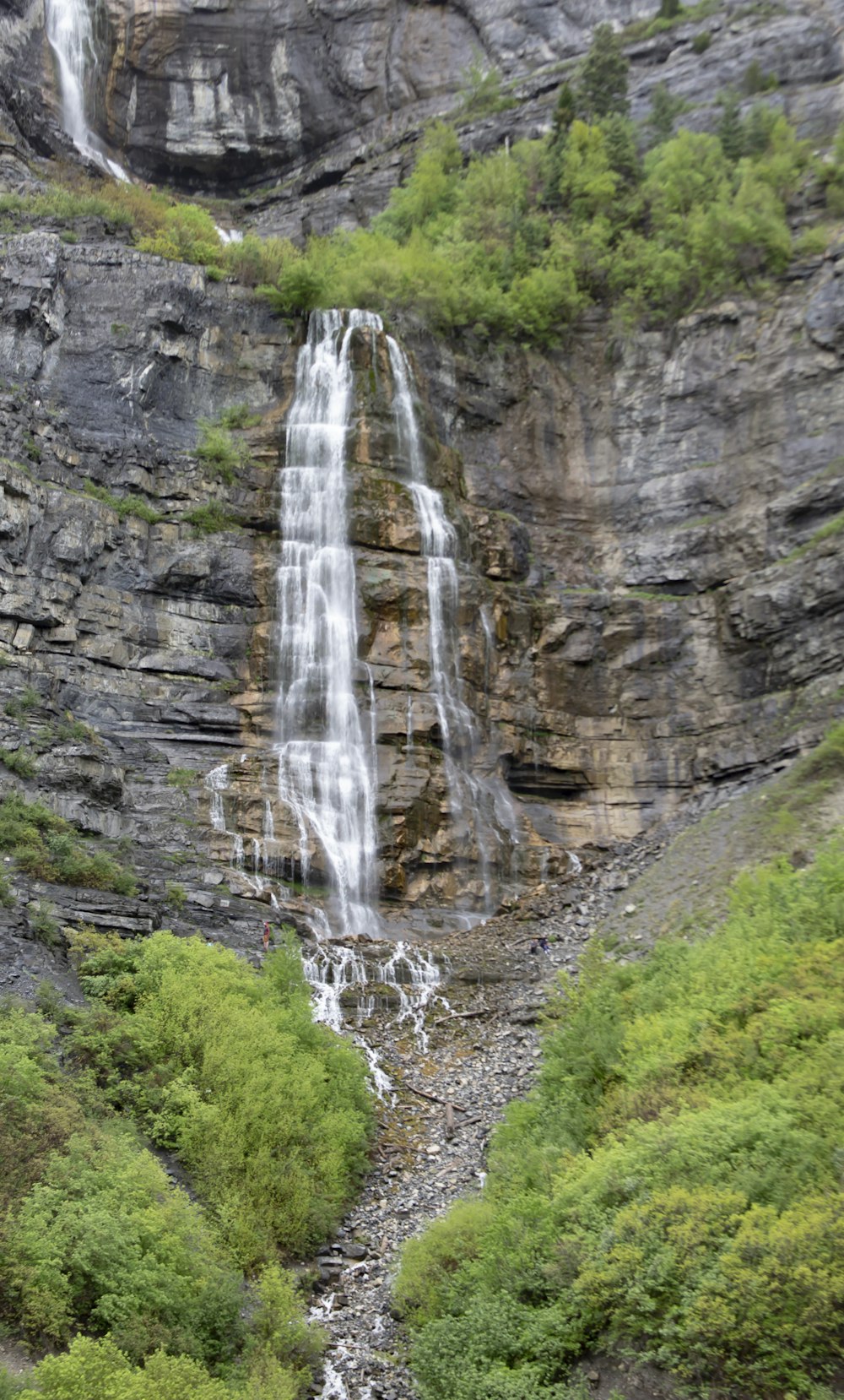 waterfall in front of trees