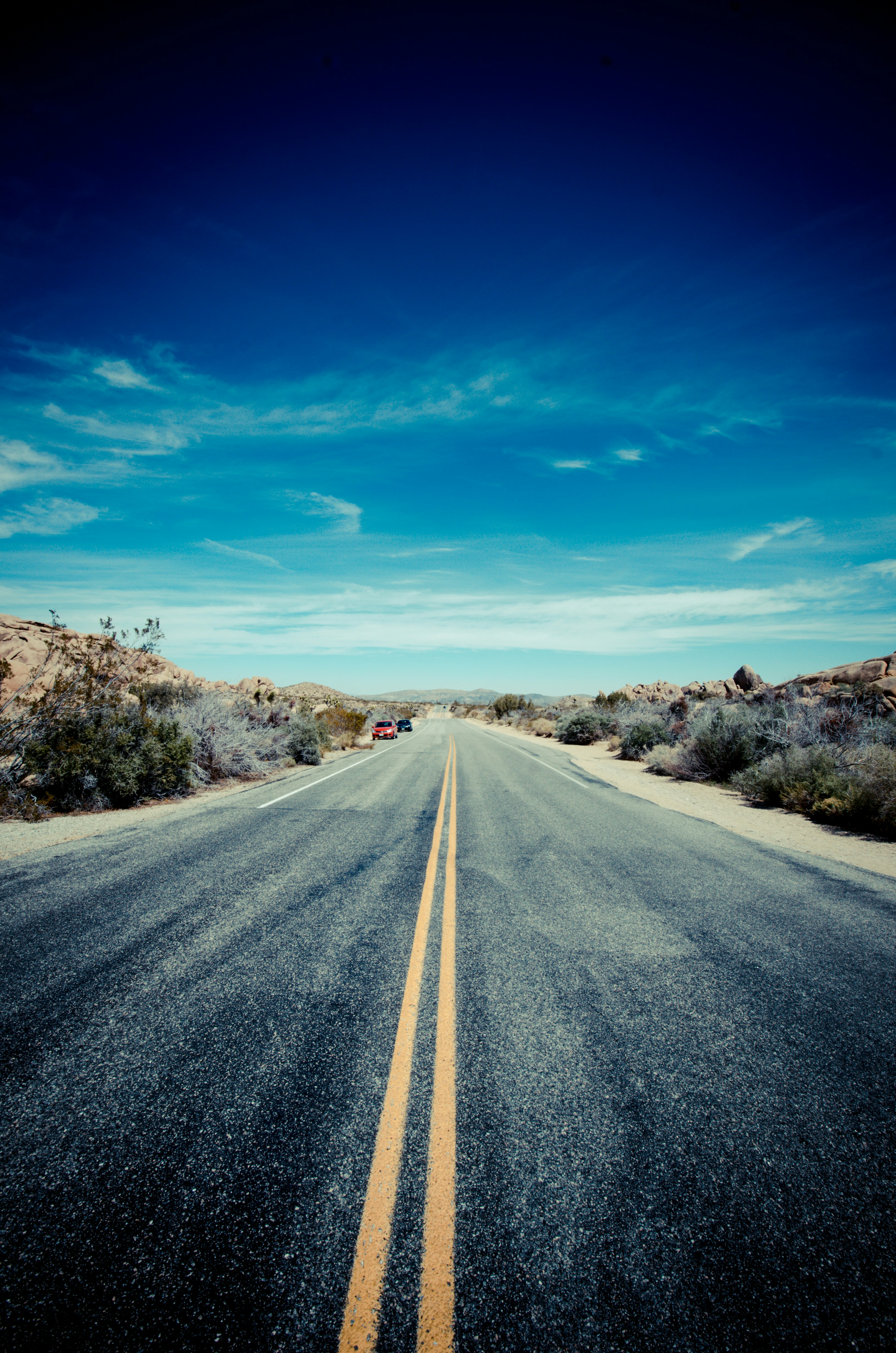 Photo by dlionphotography