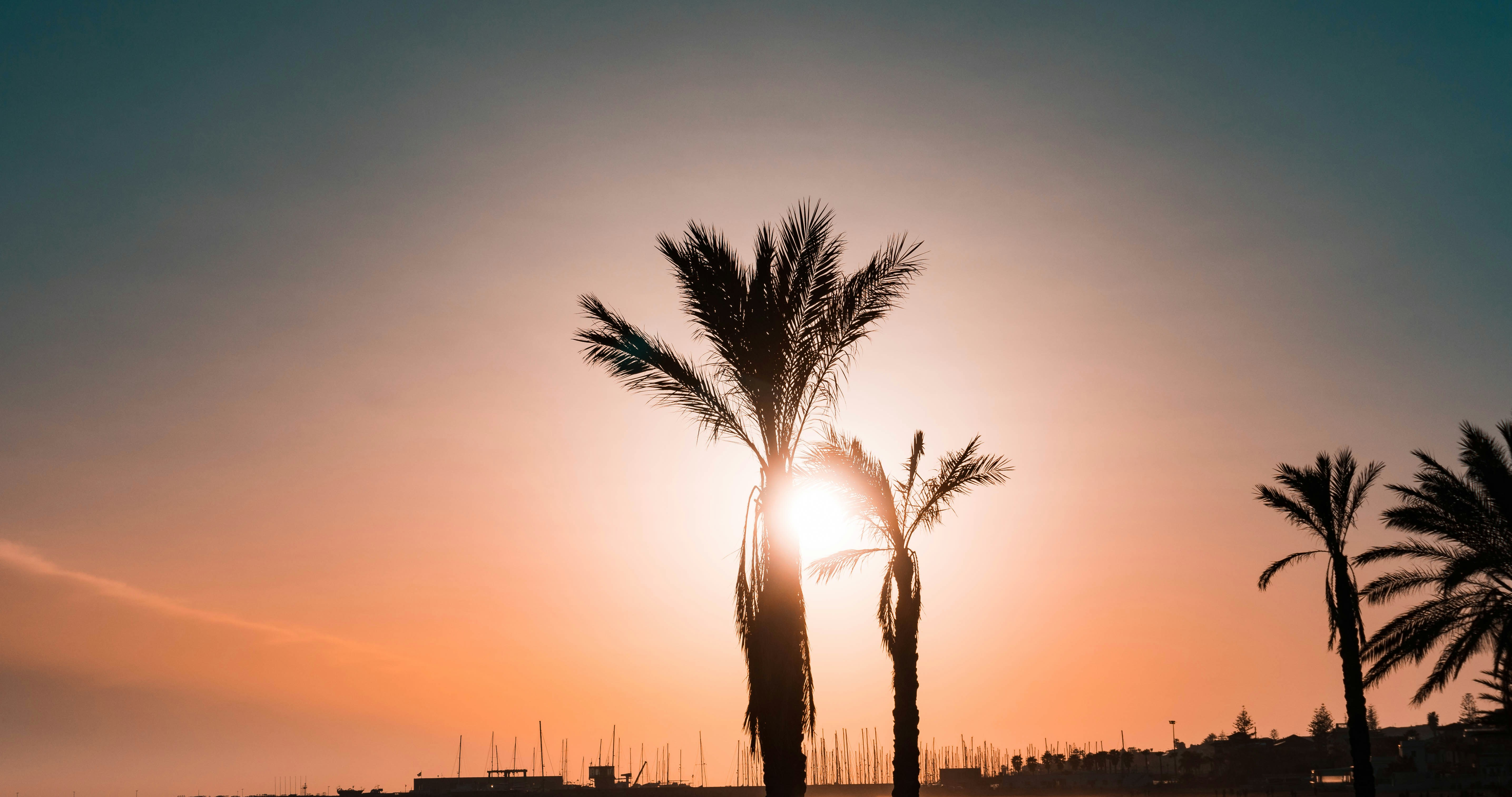 Photo by mrpeppeocchipinti