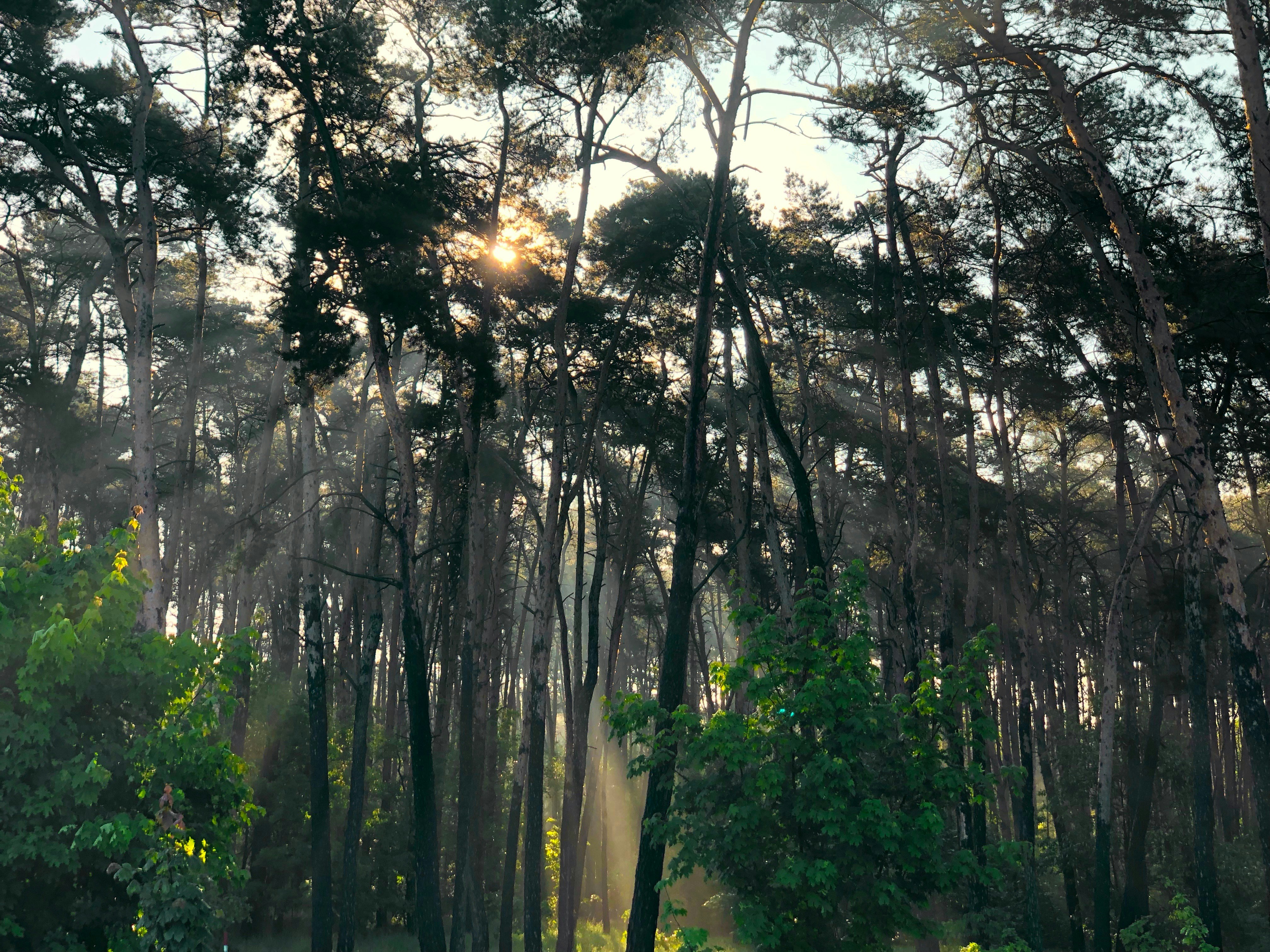 Photo by timfraedrich