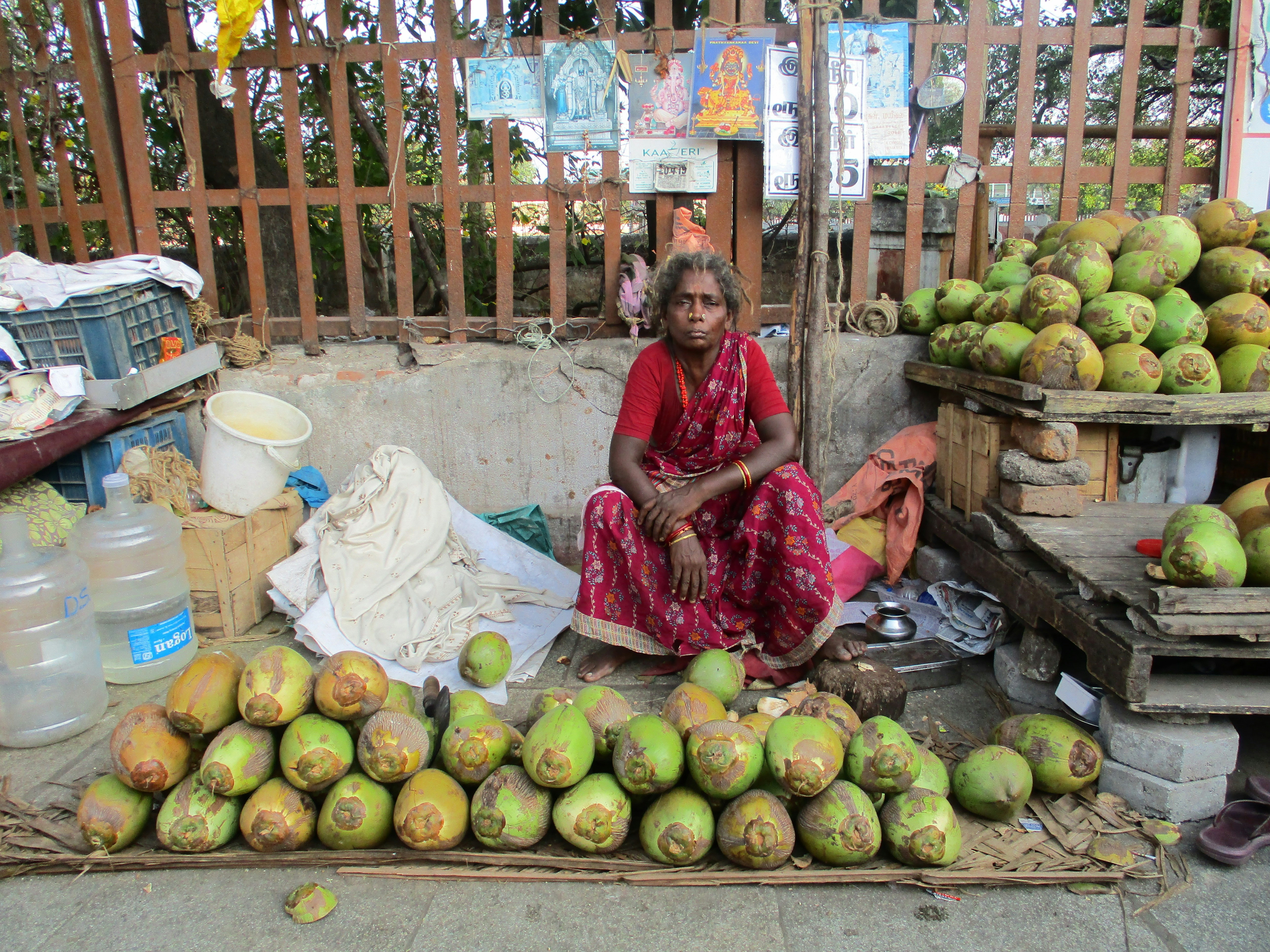 woman sitting near coconut fruits
