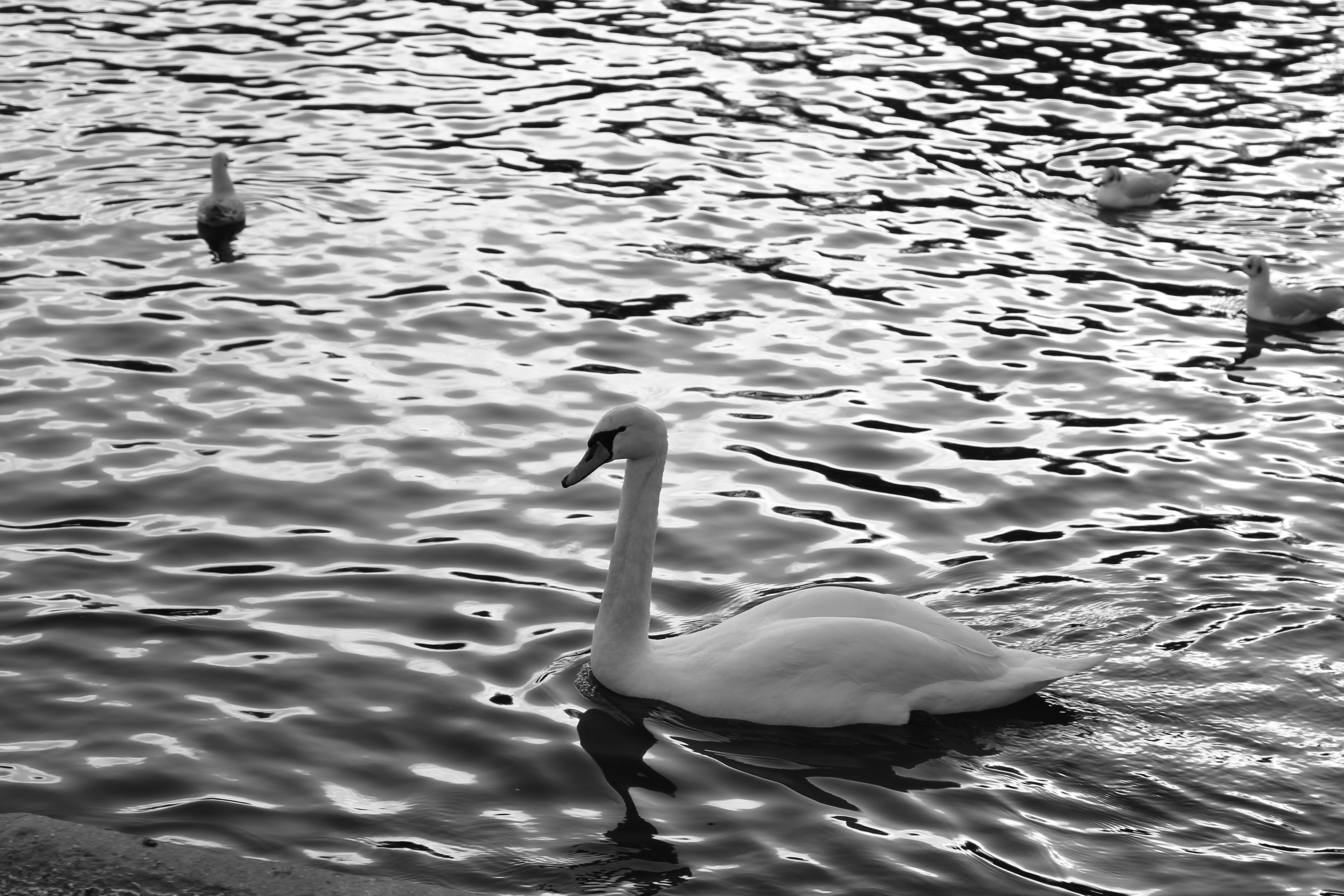 Photo by jo_indie_life